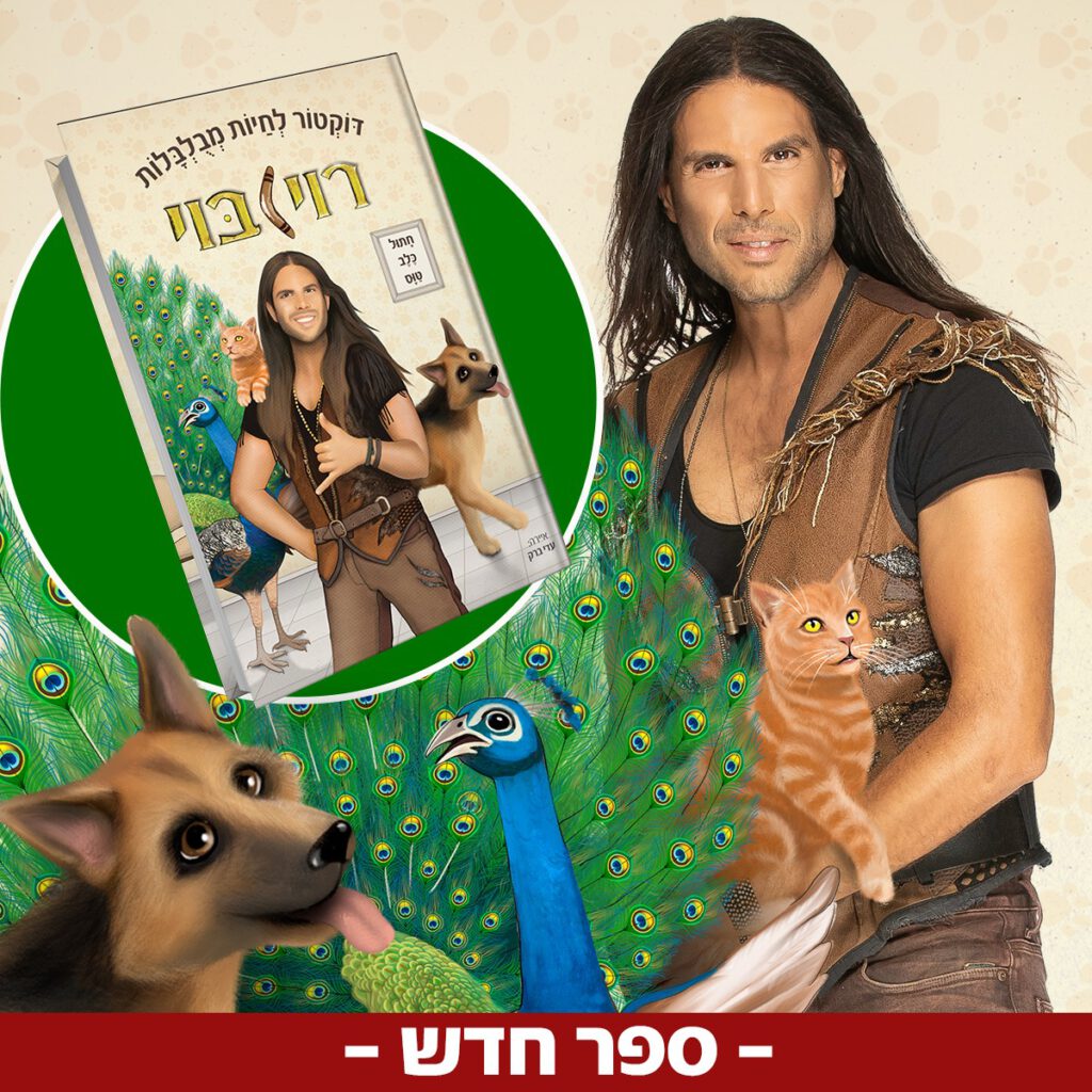 הסרטונים של רוי בוי | כנסו וצפו עכשיו בכל הסרטונים האהובים של רוי בוי
