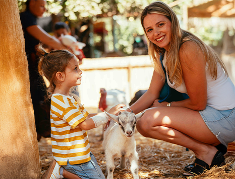 מרחב חי לאתר מידות
